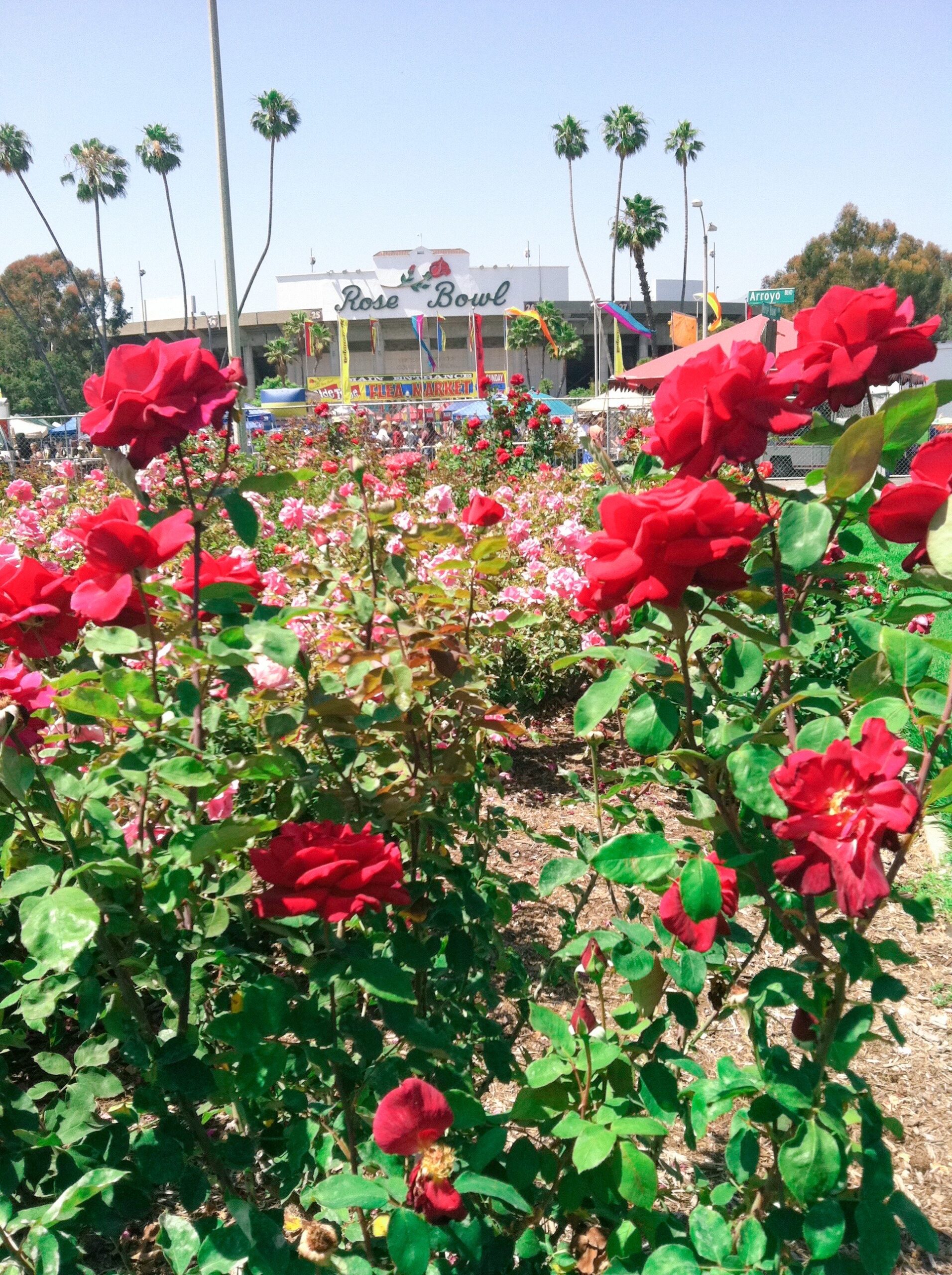 What to Expect at the Iconic Rose Bowl Flea Market Treasure Hunters